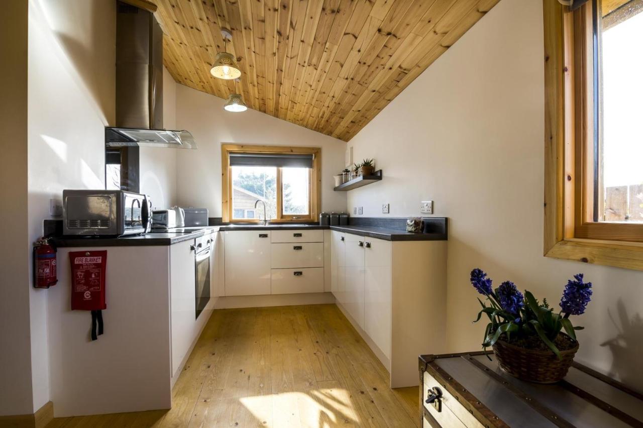 Laurel Lodge - 2 Bedroom Log Cabin - St Florence Saint Florence Zewnętrze zdjęcie