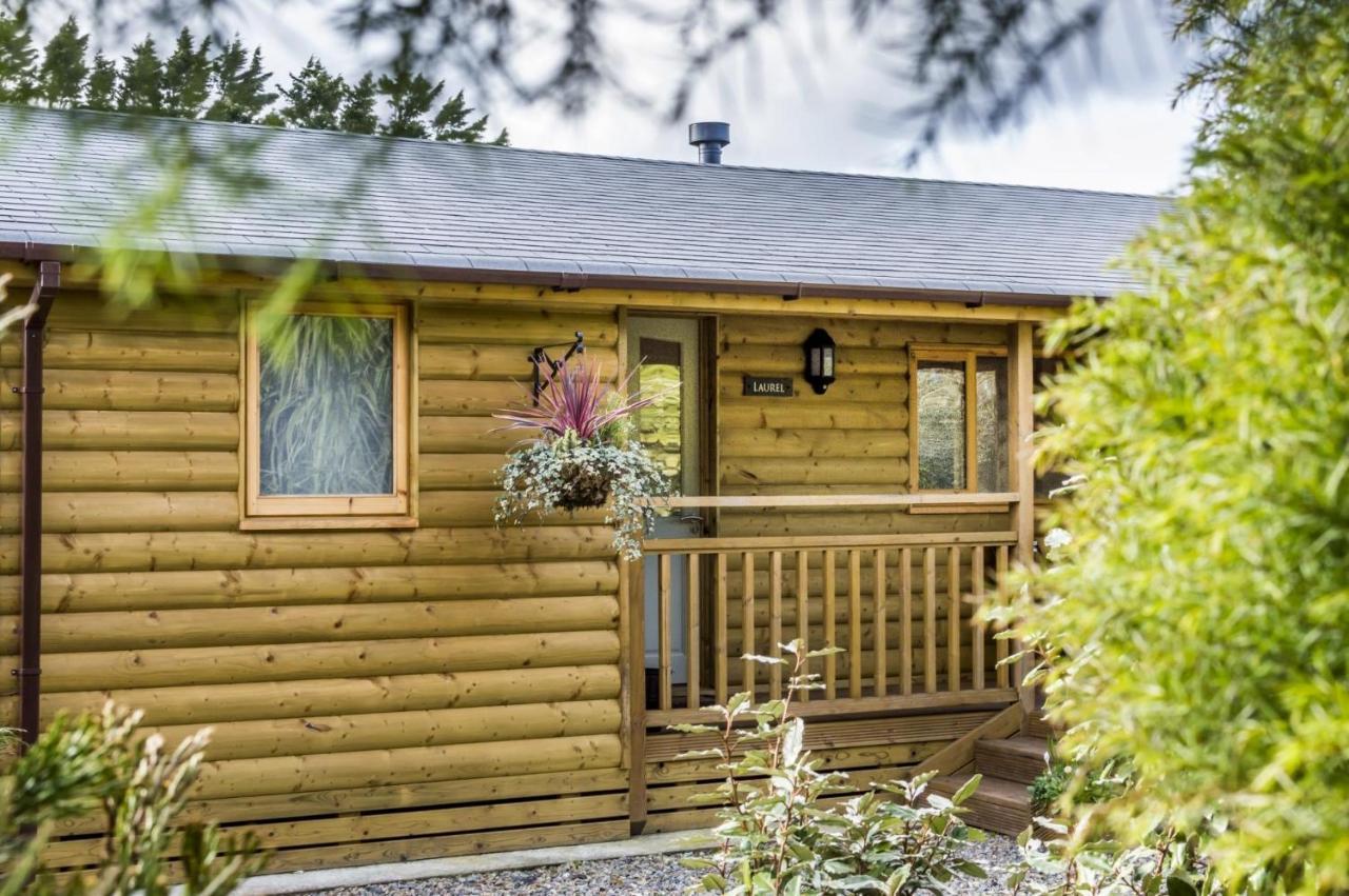 Laurel Lodge - 2 Bedroom Log Cabin - St Florence Saint Florence Zewnętrze zdjęcie